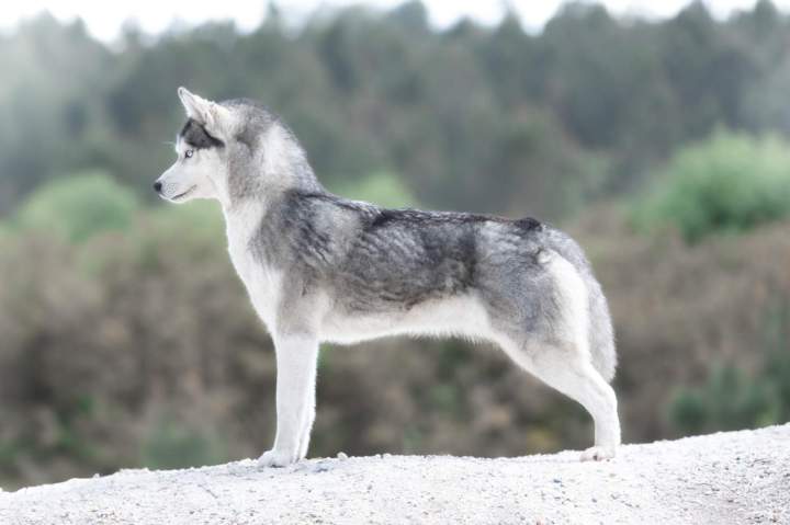 30042024 EE7A3625 Modifier