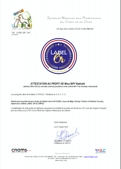 Éleveurs de husky Bordeaux